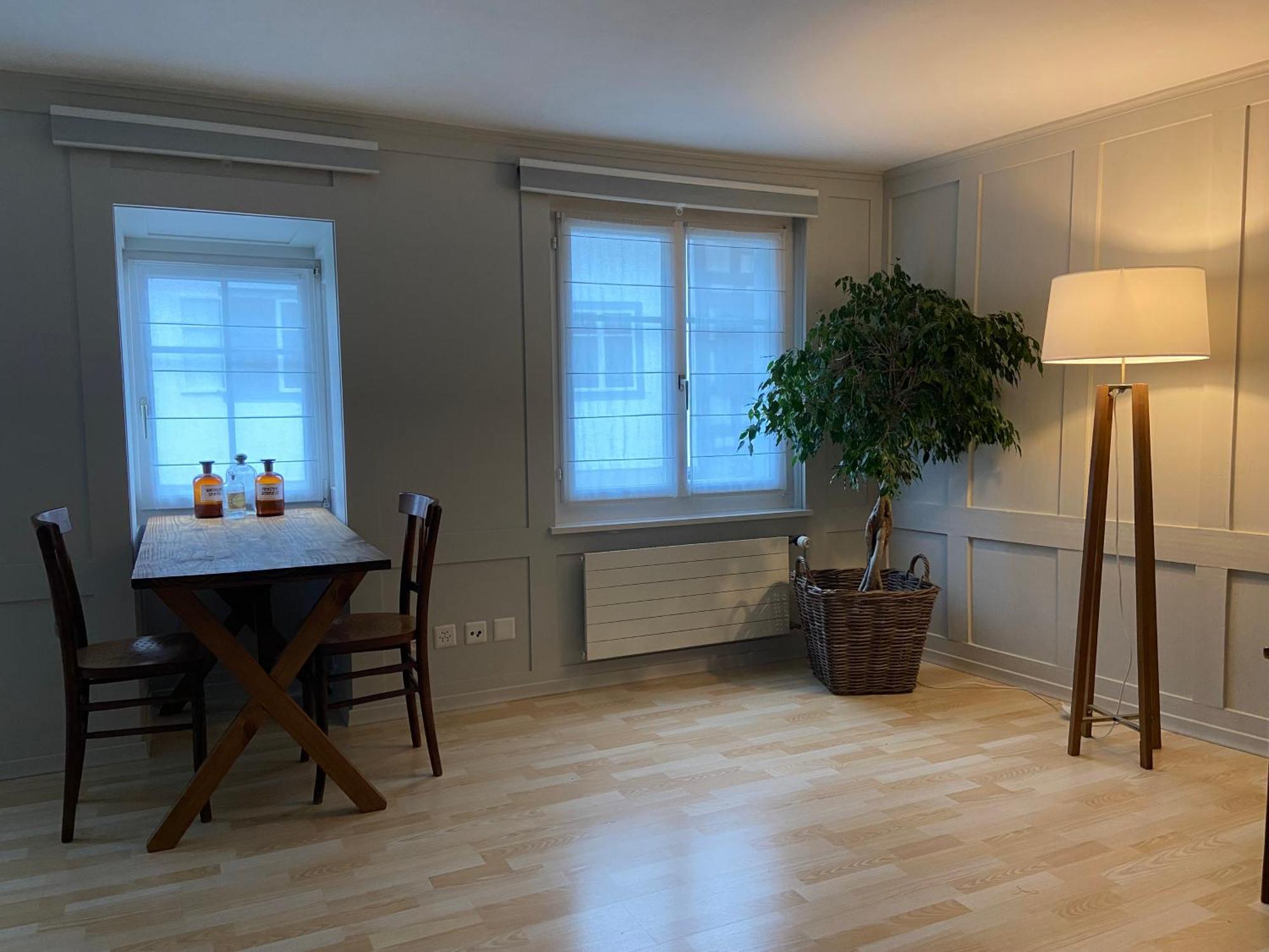 Understadt 14 Guesthouse Stein Am Rhein Ngoại thất bức ảnh