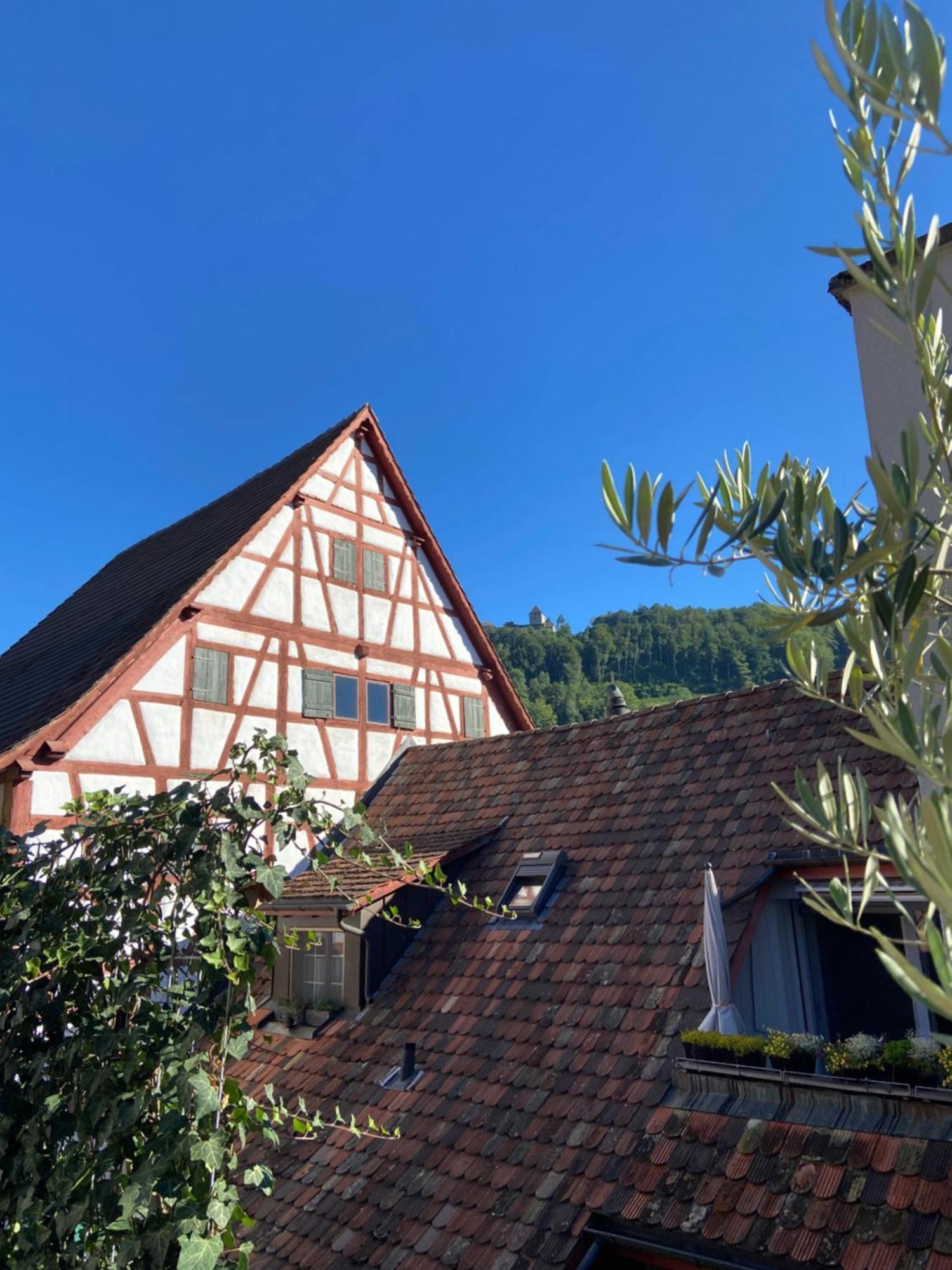 Understadt 14 Guesthouse Stein Am Rhein Ngoại thất bức ảnh